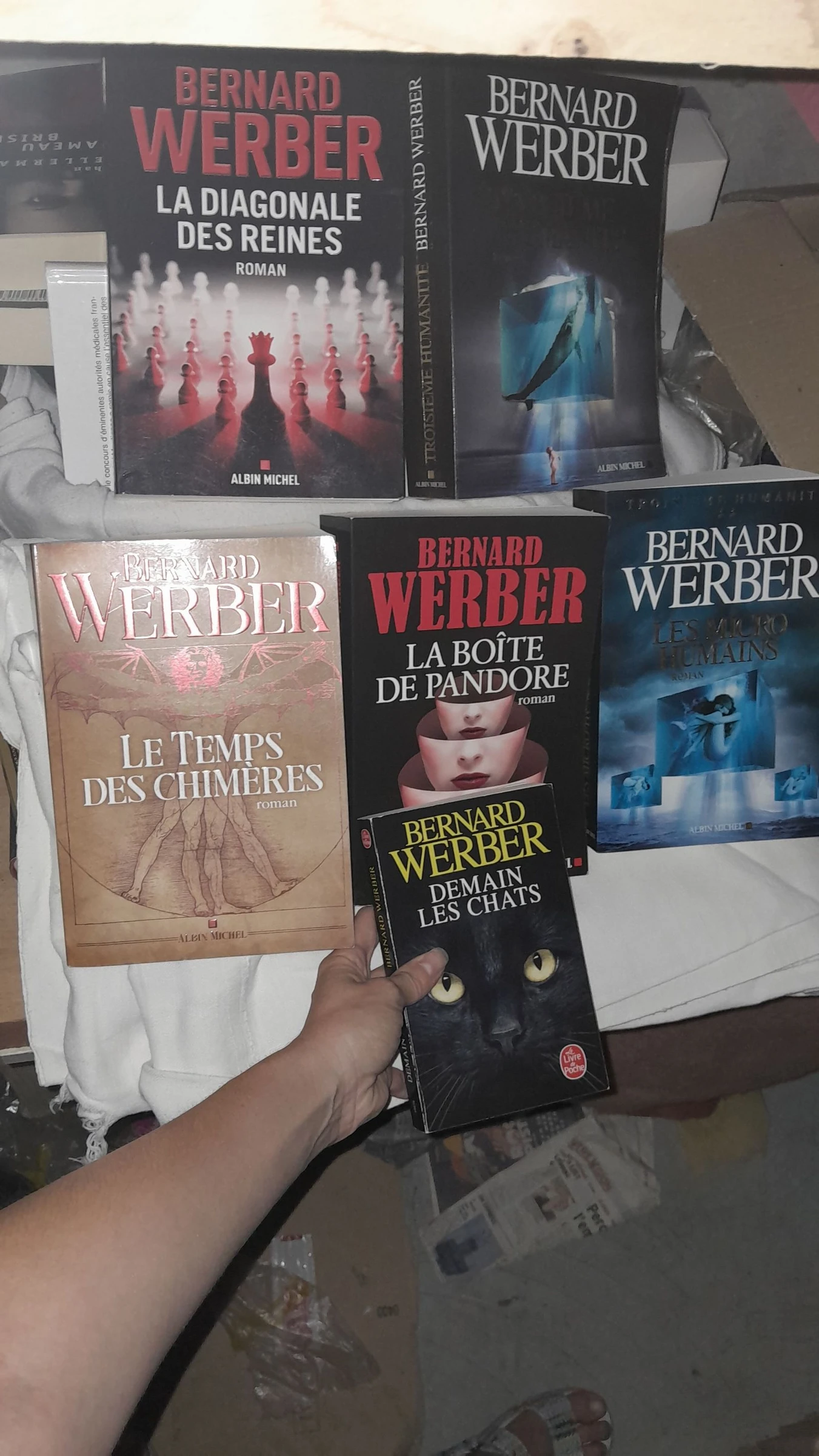 Lote magnífico B Werber – photo 2